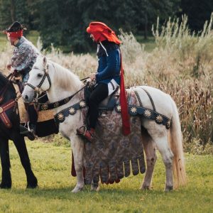 white horse Rudiger for movie or commercial as animal casting
