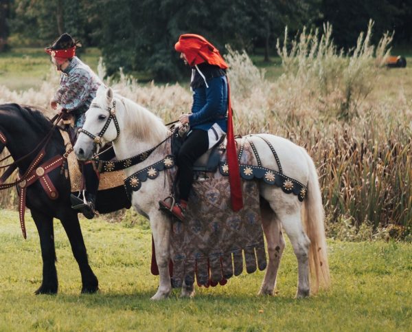 white horse Rudiger for movie or commercial as animal casting
