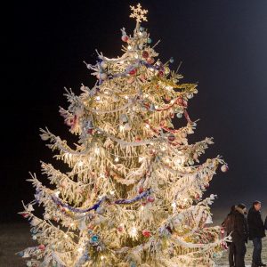 extra large christmas tree for rent