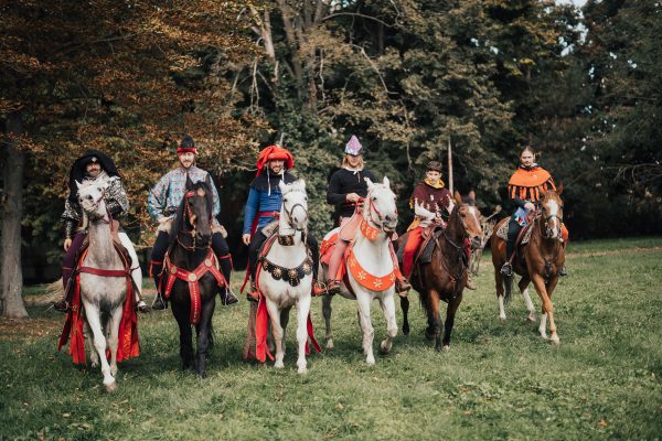 The royal court male extras also knights from 14th-15th century big group comparz for movie or commercial as big group casting